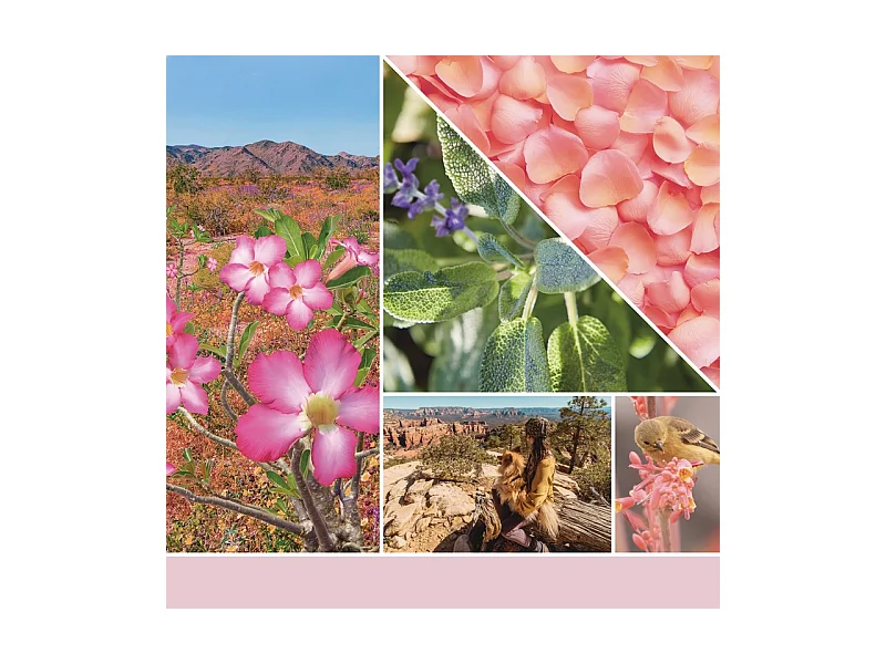 Duftkerze im mittelgroßen Glas, Desert Blooms, rosa 368 gr, Signature