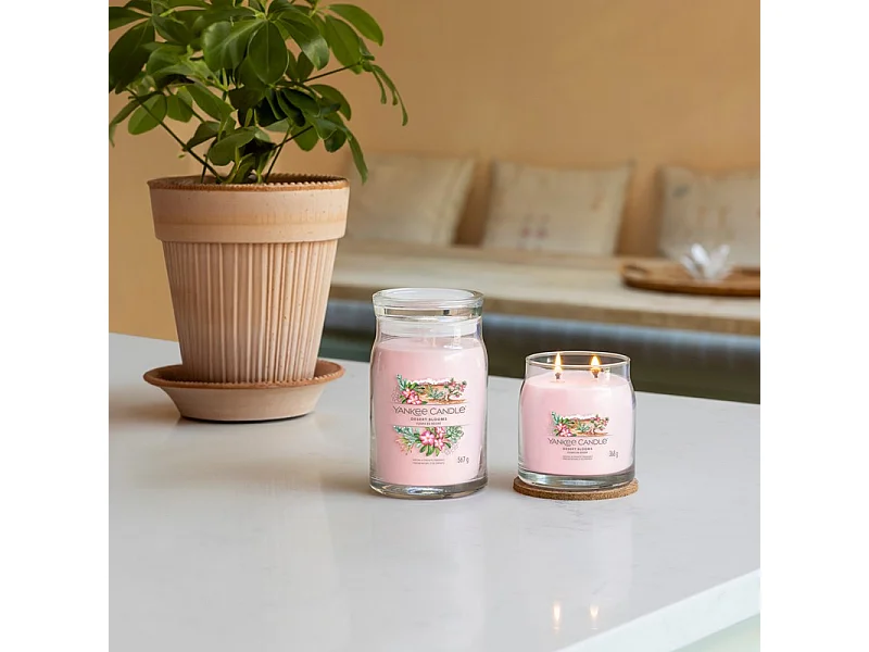 Duftkerze im mittelgroßen Glas, Desert Blooms, rosa 368 gr, Signature