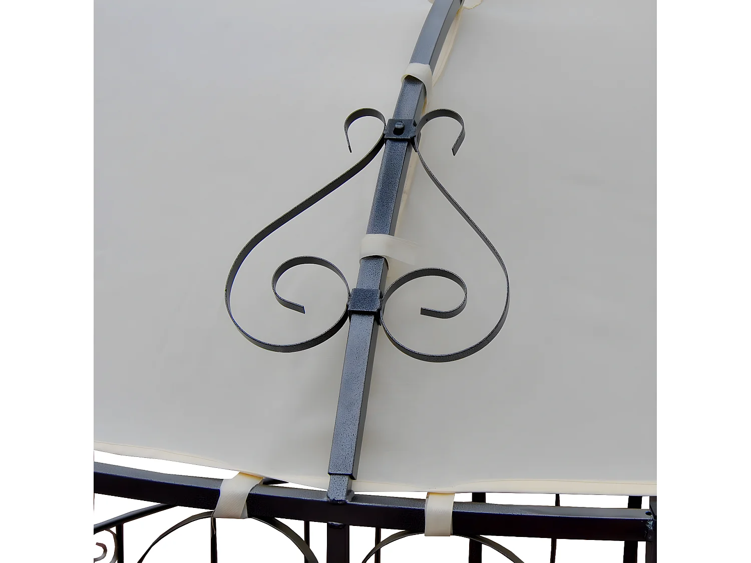 Pergola Cabrera,  crème