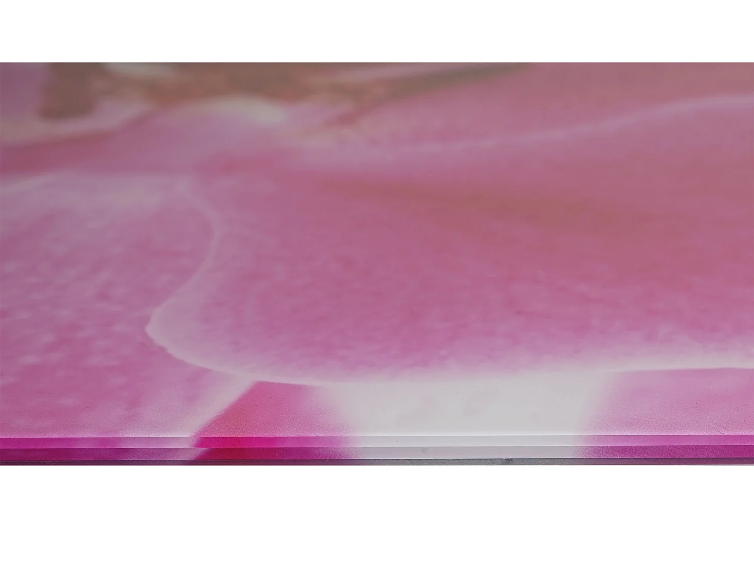 Glasbild T114 Orchide, Orchidee