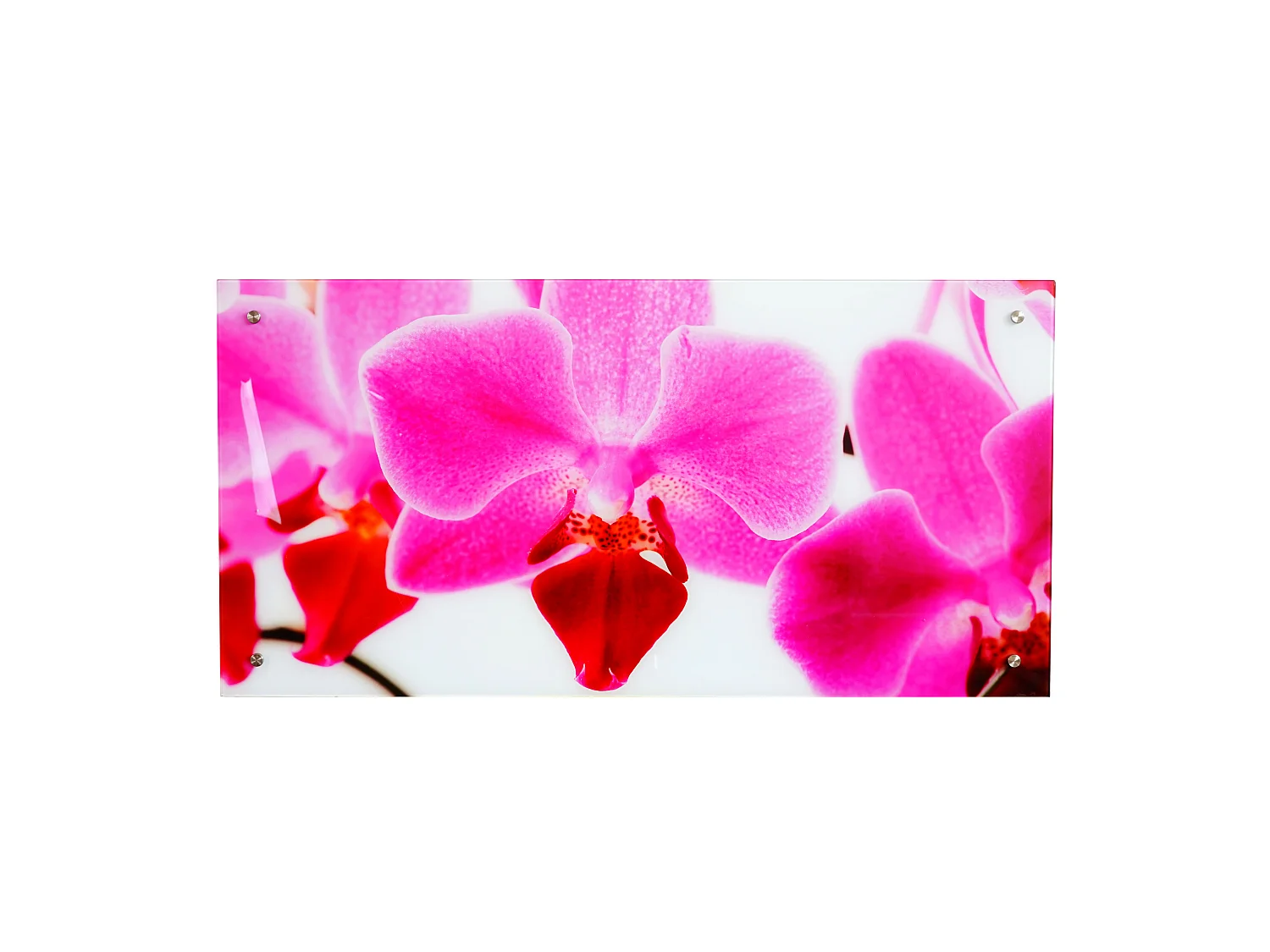 Glasplaat T114 Orchidee,  Orchidee