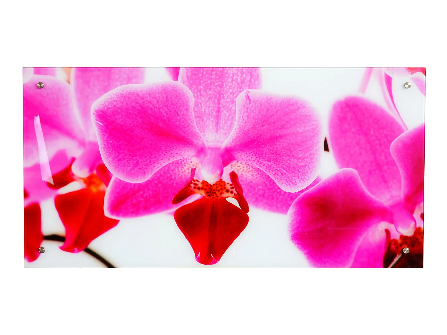 Glasplaat T114 Orchidee,  Orchidee