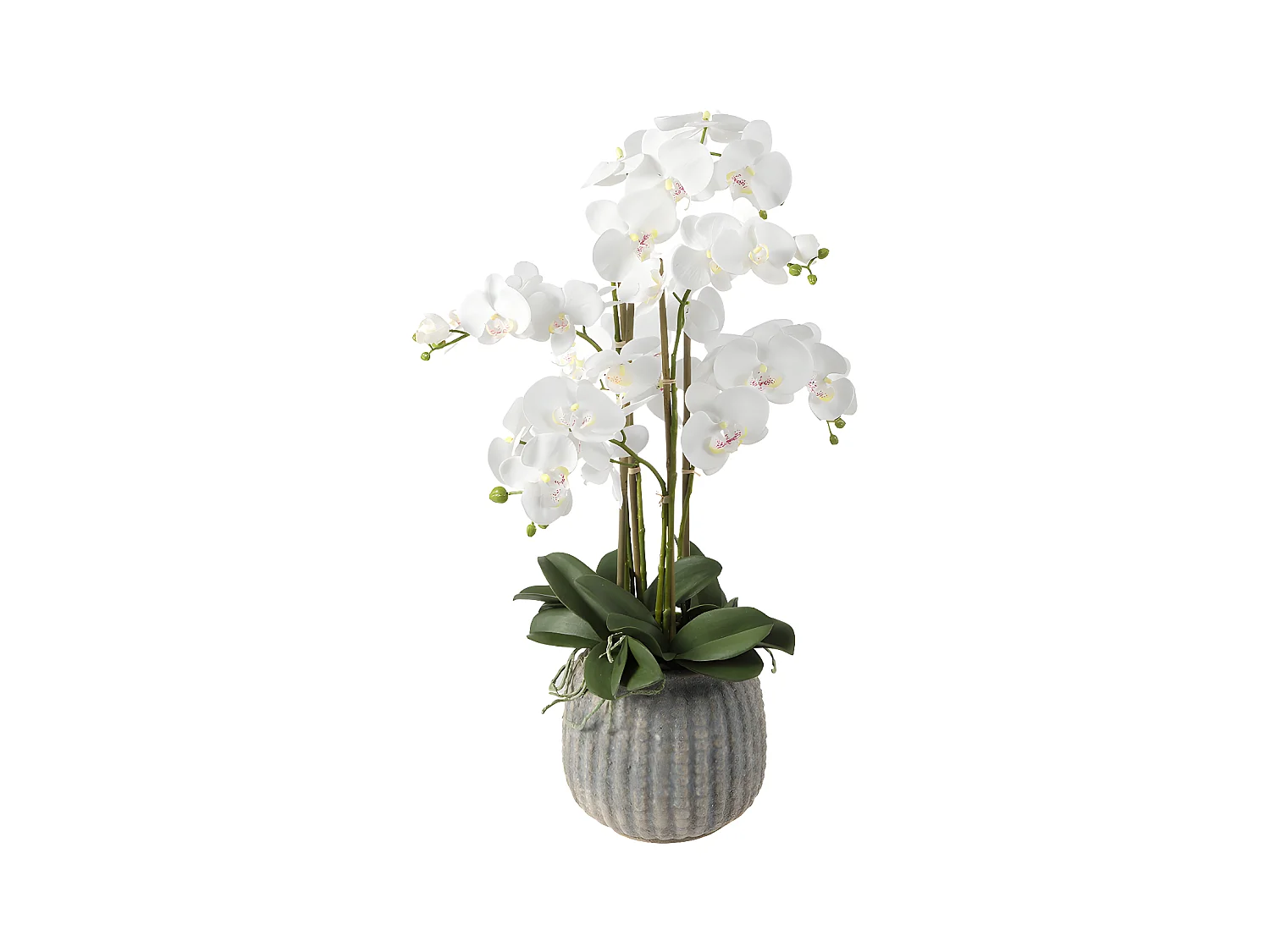 Composition d'Orchidée Artificielle