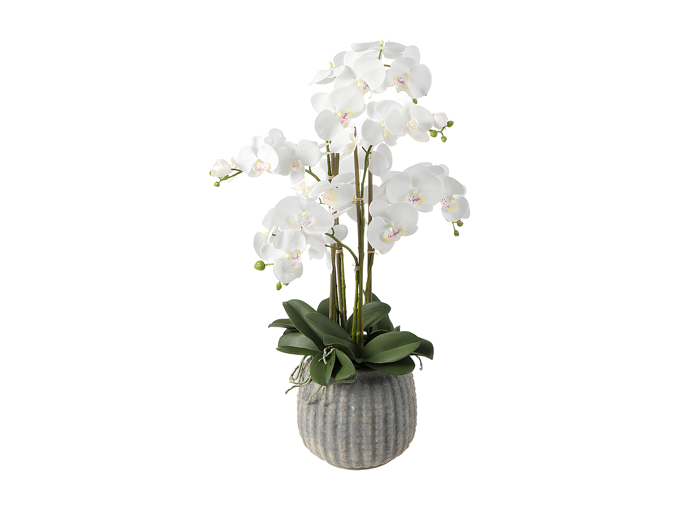 1 ensemble d'orchidées artificielles de haute qualité, Arrangement en Latex, impression 3D, toucher réel, grande taille, fleur de Table de luxe, décor d'hôtel à domicile, sans Vase  15