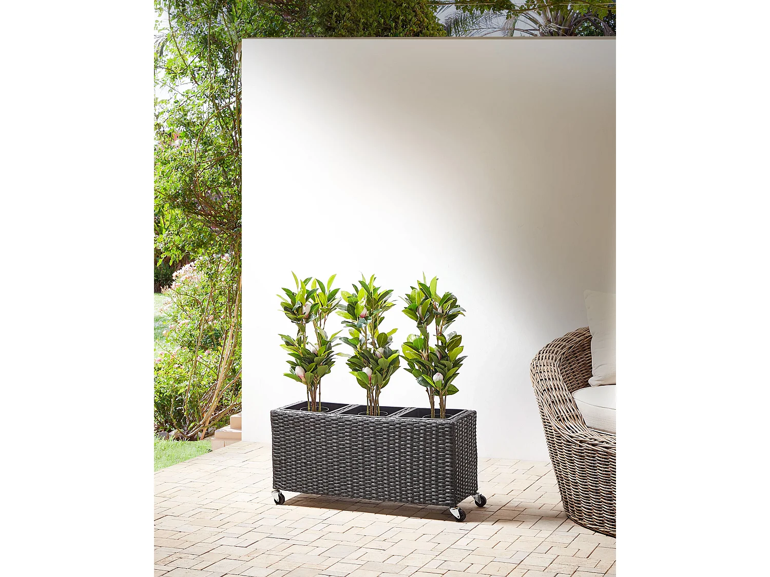 Garten Blumenkasten mit Rollen Rattan schwarz rechteckig Pflanzkasten Bellis