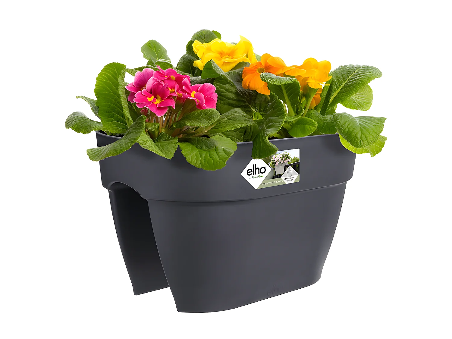 Balconnière Elho Vibia Campana Flower Bridge anthracite - Longueur 40 cm