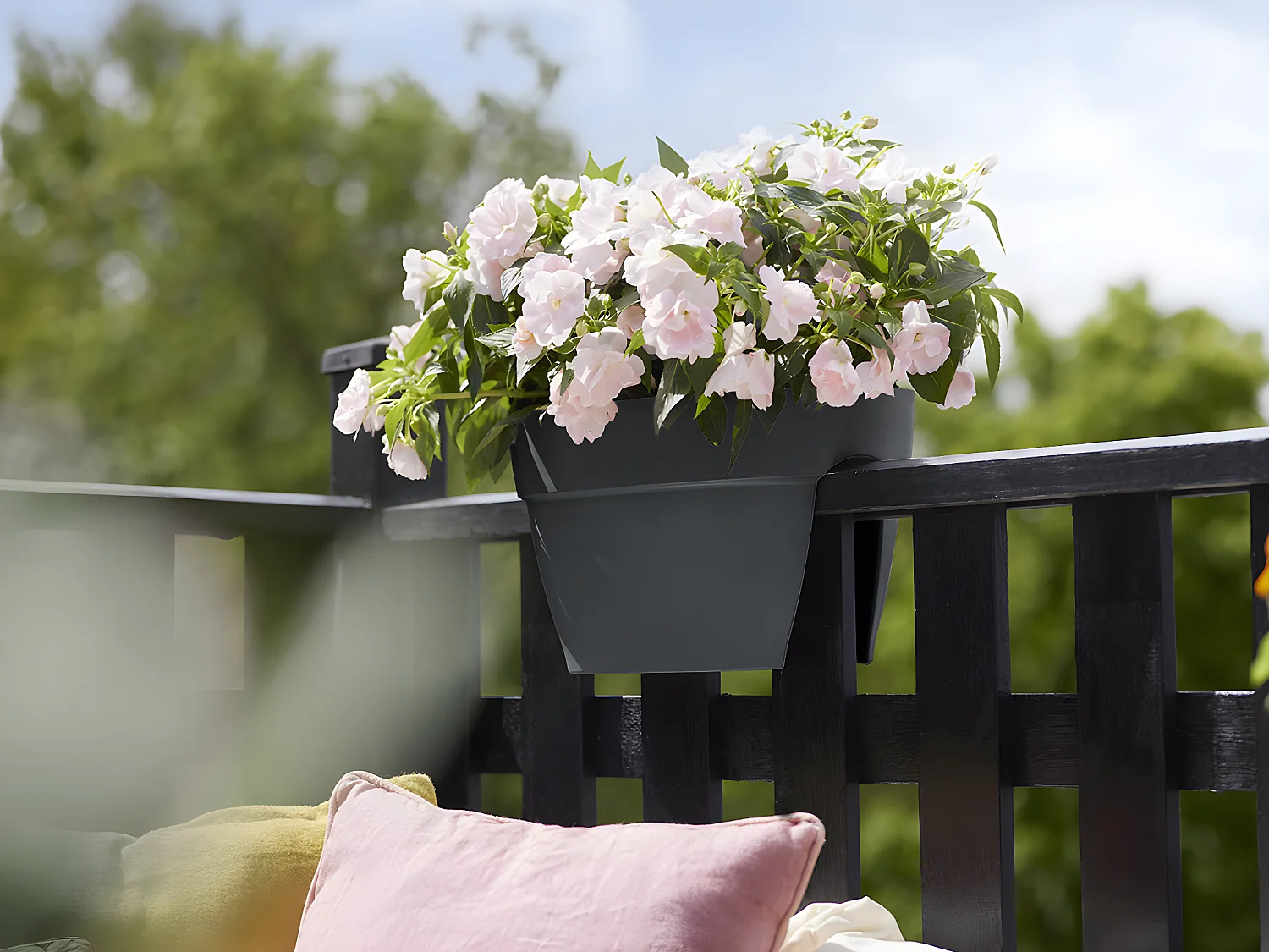 Balconnière Elho Vibia Campana Flower Bridge anthracite - Longueur 40 cm