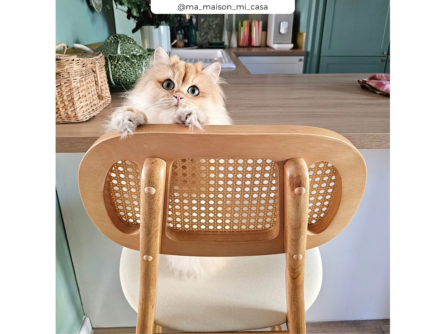 Set di 2 sedie per isola centrale 64,5 cm in tessuto beige - Maria