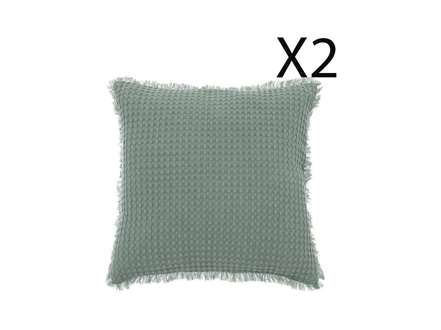 Lot de 2 coussins en coton coloris vert Céladon  - L. 45 x P. 10 x H. 45  cm