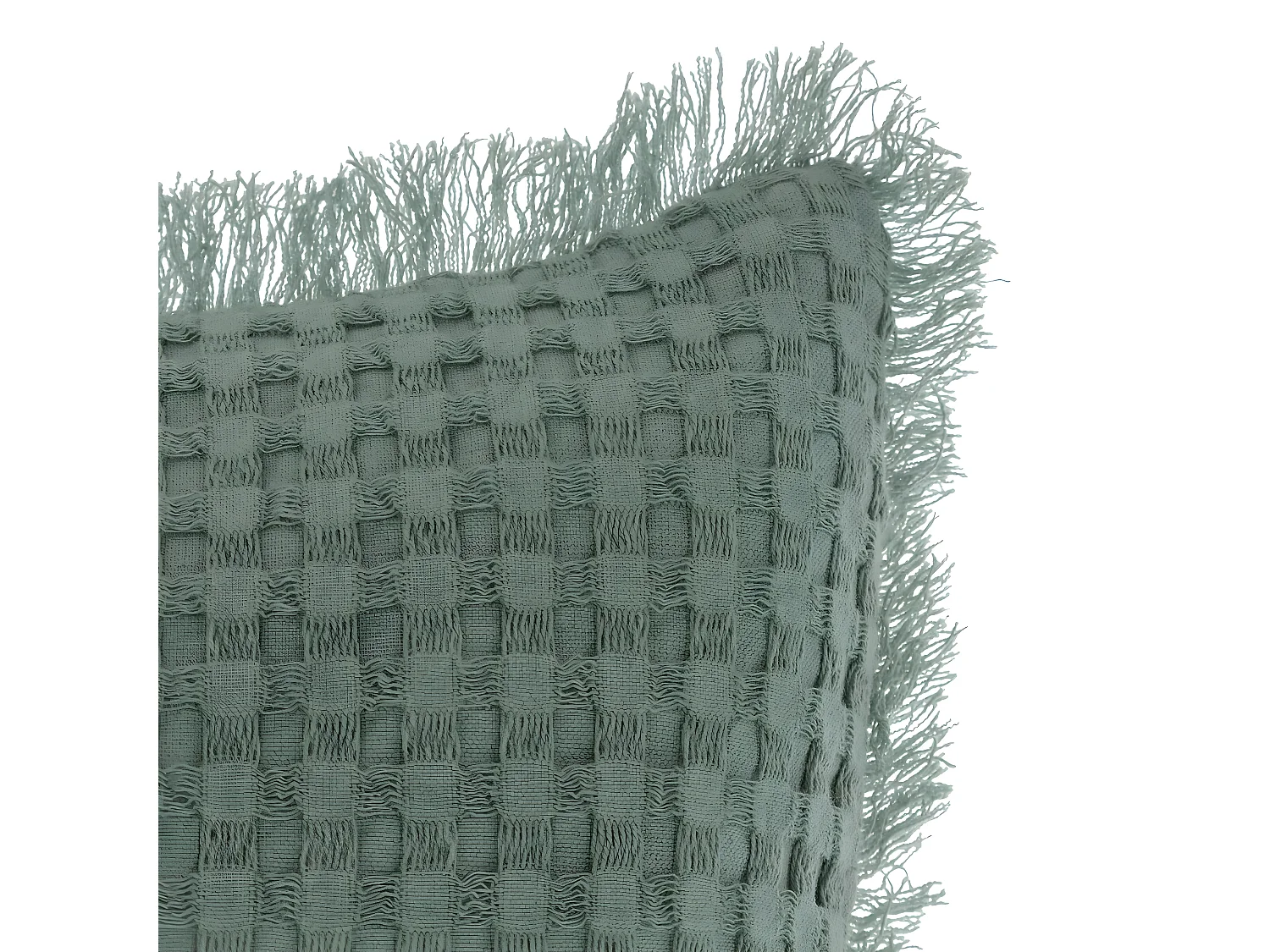 Lot de 2 coussins en coton coloris vert Céladon  - L. 45 x P. 10 x H. 45  cm