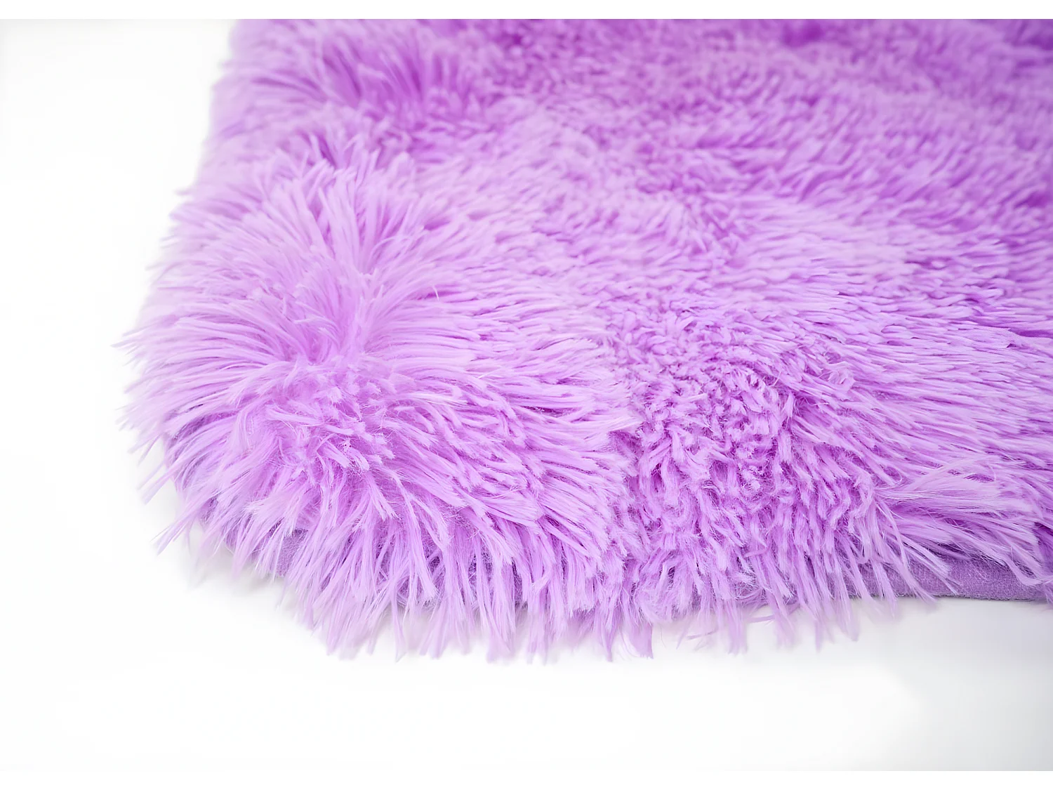 Teppich MCW-F69, Lila