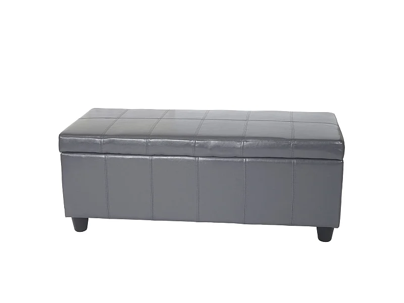 Coffre de rangement Kriens,  gris