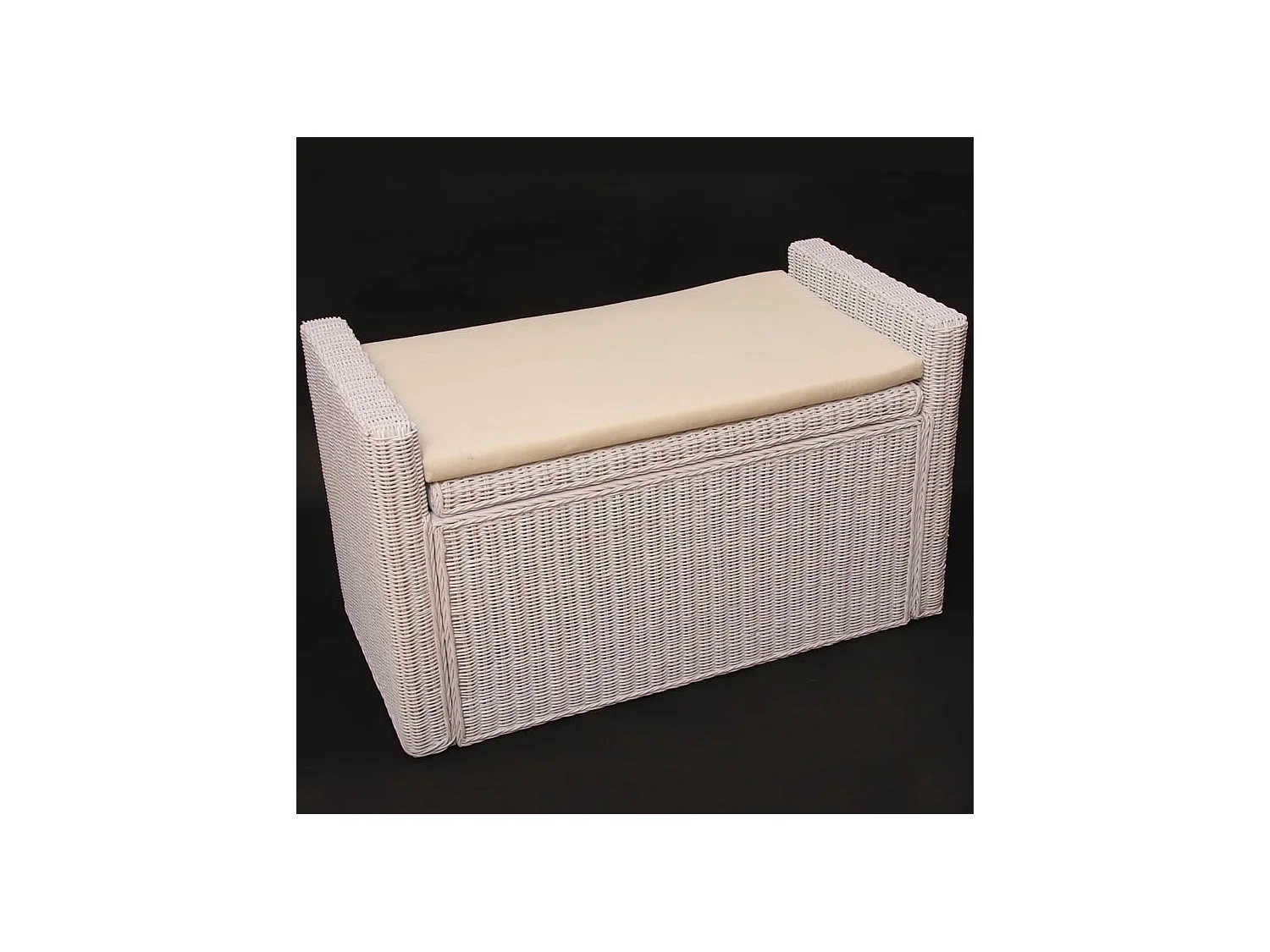 Baú de armazenamento Genua Rattan,  branco