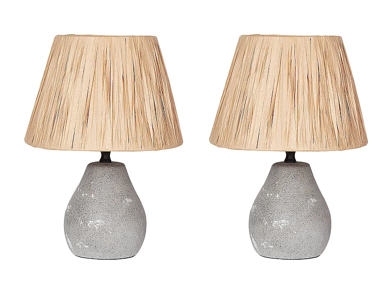 Lot de 2 lampes de bureau ARWADITO Céramique Gris