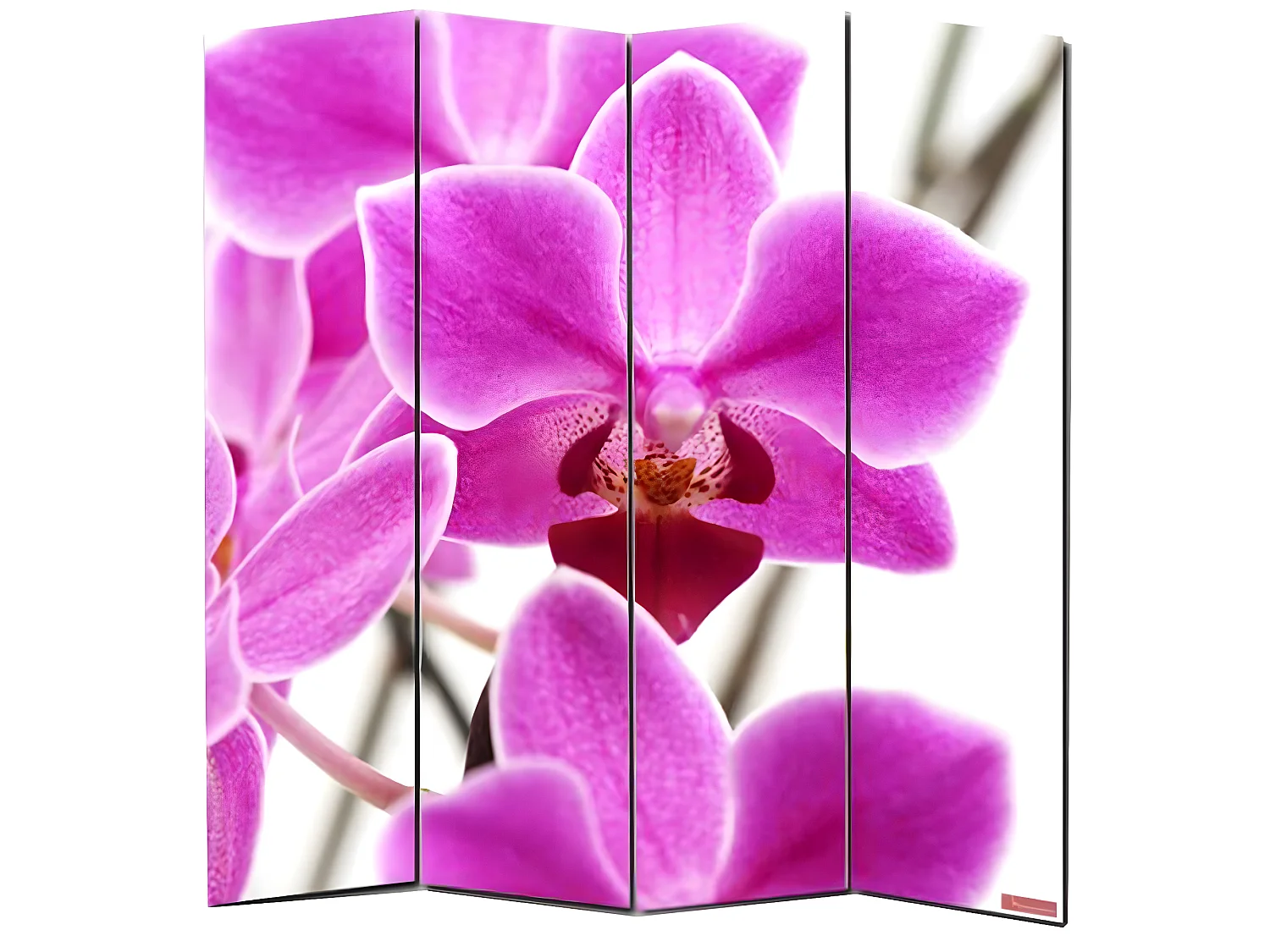 Paravent photo Bagheria, Paravent / cloison de séparation M68, 4 pans, 160x180cm, motif orchidée