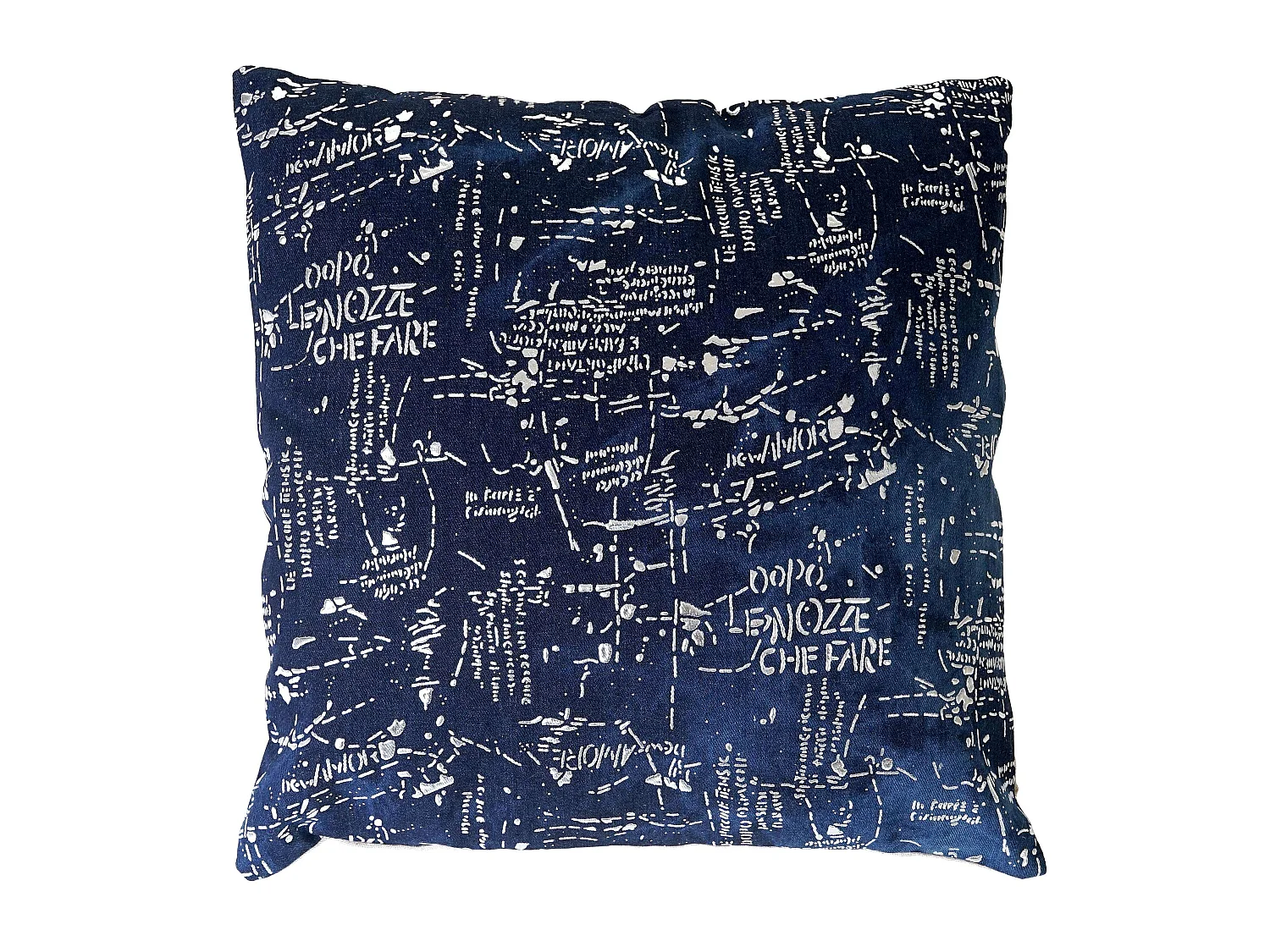Decoratief kussen met opschrift