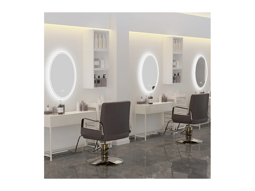 Ovaler LED Badezimmerspiegel Antibeschlag Wandspiegel mit 3 einstellbarer Farbbeleuchtung 60x80cm