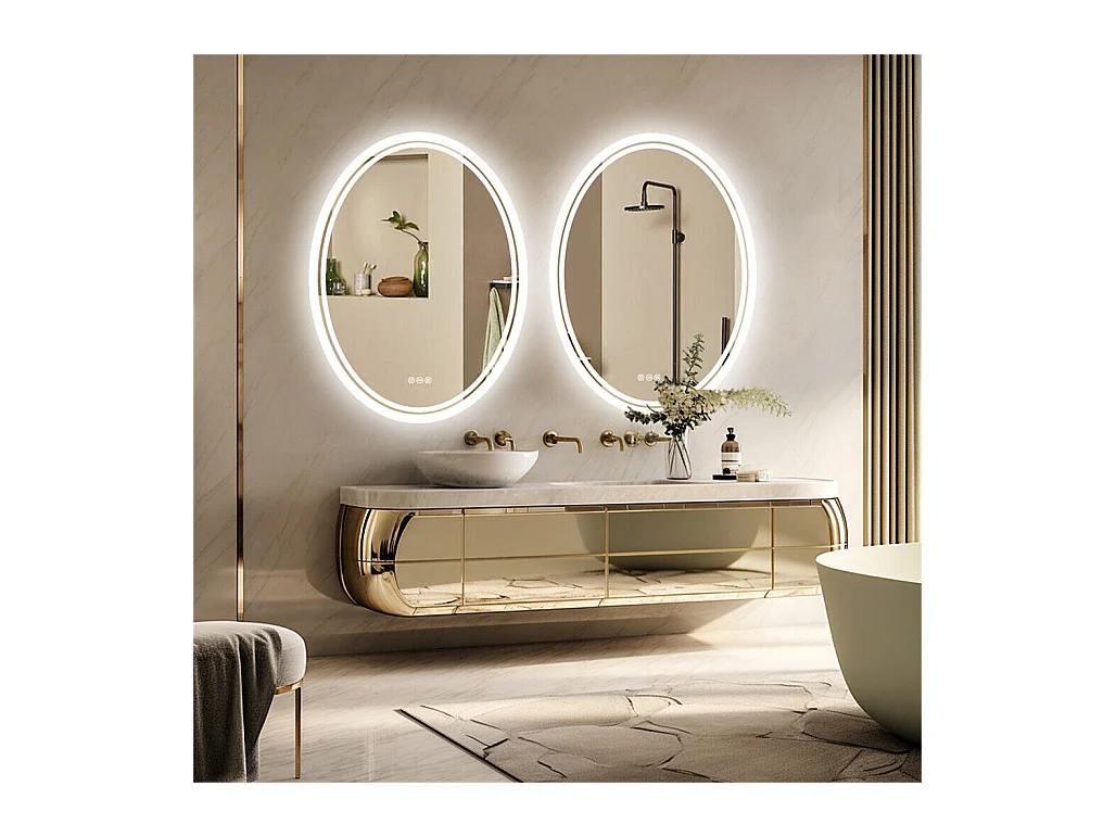 Ovaler LED Badezimmerspiegel Antibeschlag Wandspiegel mit 3 einstellbarer Farbbeleuchtung 60x80cm