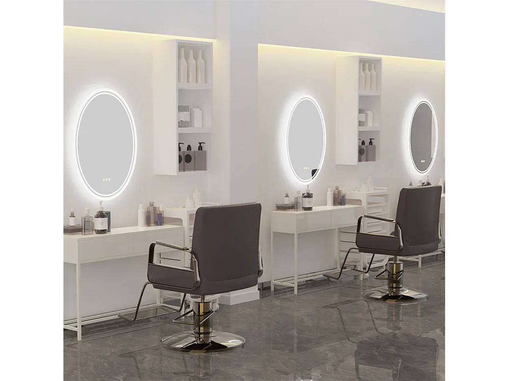 Ovaler LED Badezimmerspiegel Antibeschlag Wandspiegel mit 3 einstellbarer Farbbeleuchtung 60x80cm