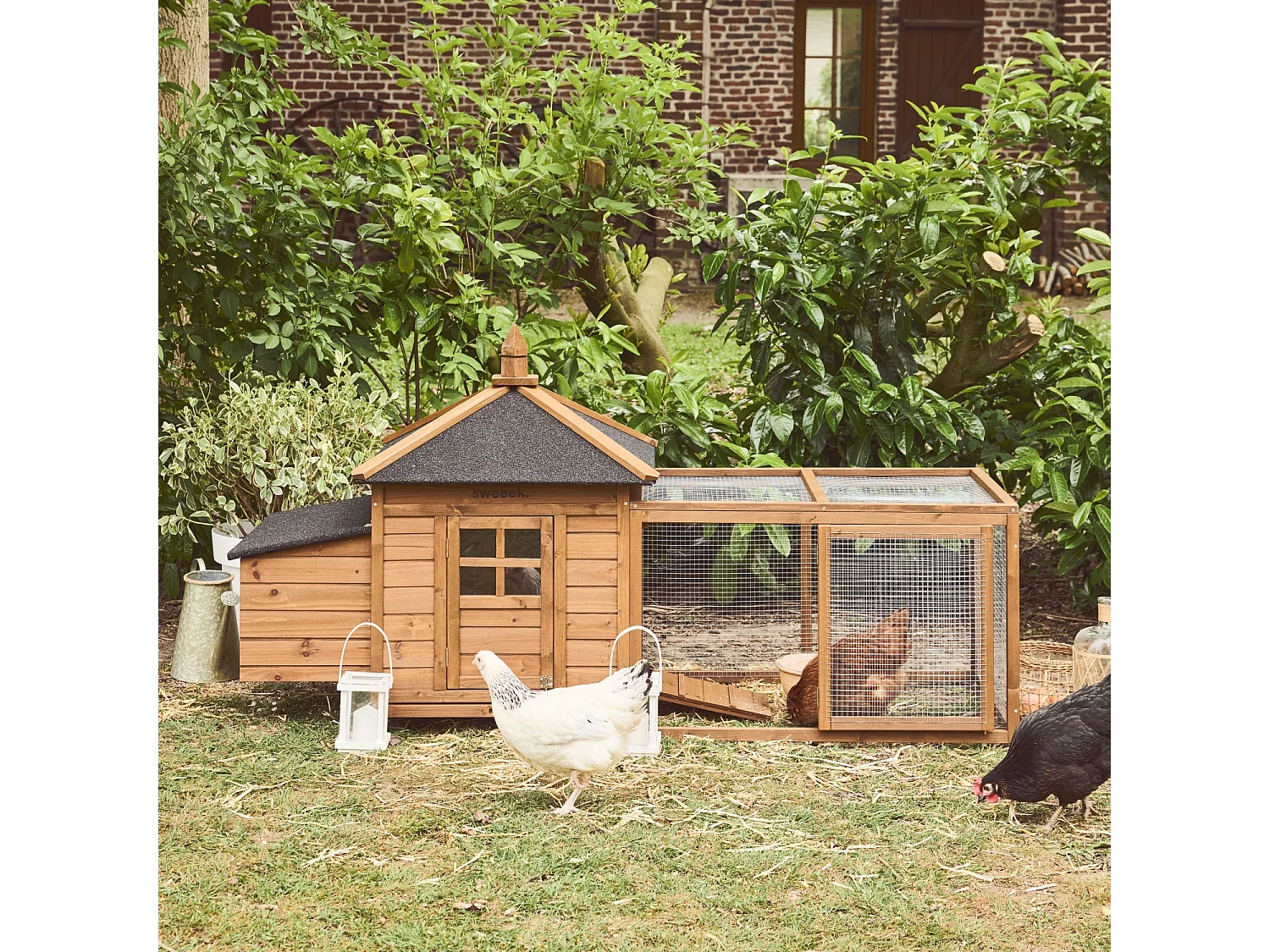 Poulailler en bois JAVA. 2 poules. cage à poule avec enclos