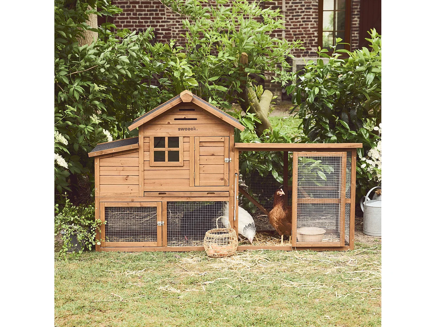 Pollaio in legno con recinto per 4 galline, marrone naturale