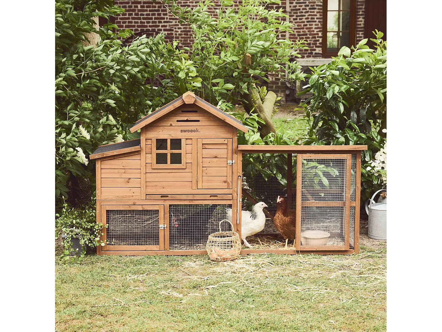 Pollaio in legno con recinto per 4 galline, marrone naturale