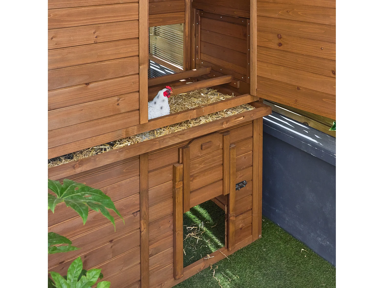 Gallinero de madera con corral para 6 a 8 gallinas madera