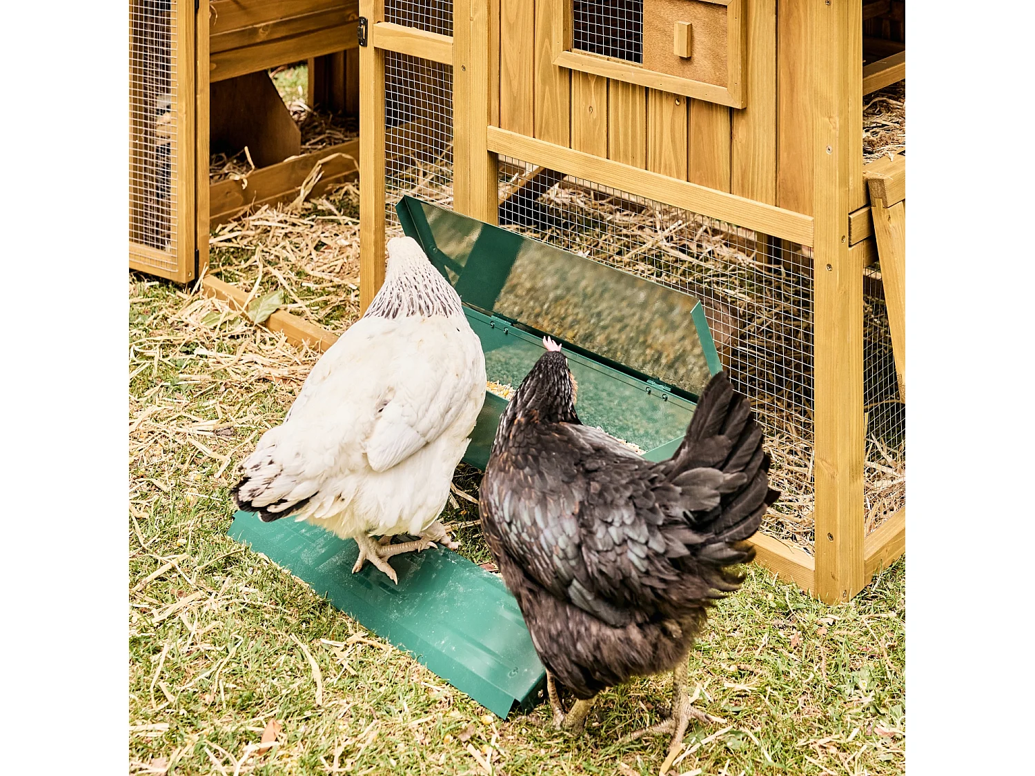 Mangeoire automatique pour poules - distributeur à pédale - capacité de 5kg - acier galvanisé