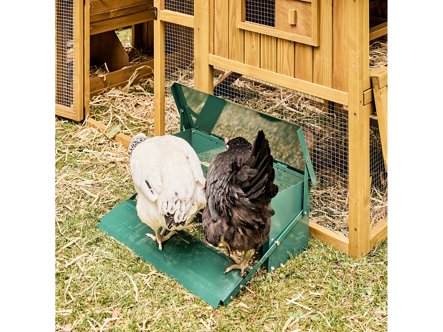 Mangeoire automatique pour poules - distributeur à pédale - capacité de 5kg - acier galvanisé