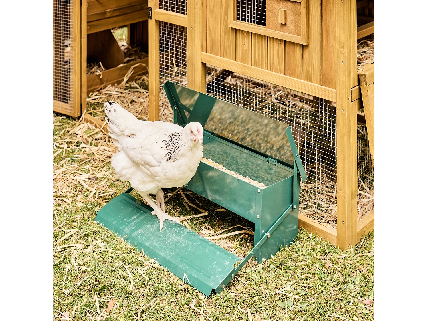 Mangeoire automatique pour poules - distributeur à pédale - capacité de 5kg - acier galvanisé