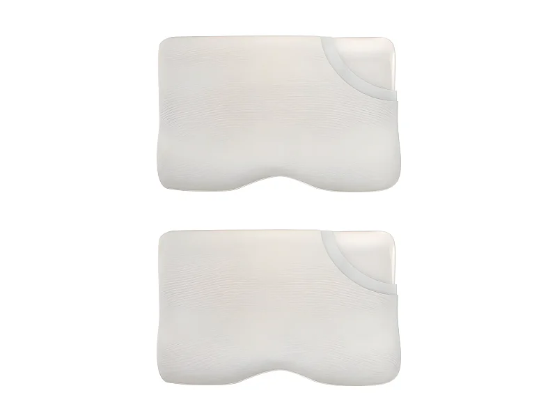 Set di 2 cuscini INPHYSIO Comfort Plus con federe in bambù