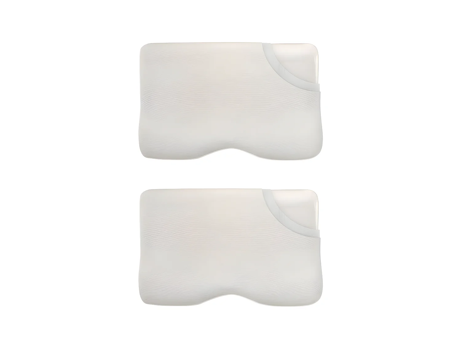Lot de 2 oreillers INPHYSIO Confort Plus avec taies d'oreiller en bambou