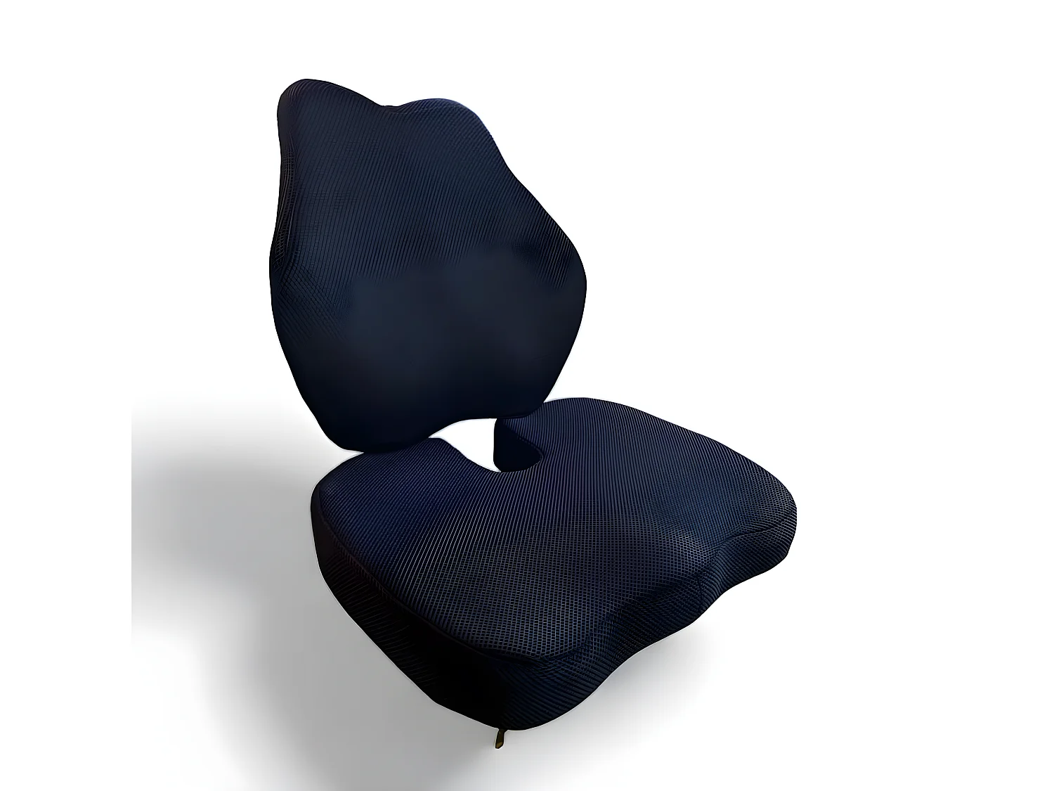 Set di Cuscino per Seduta e Cuscino di Supporto Lombare Allungato INPHYSIO