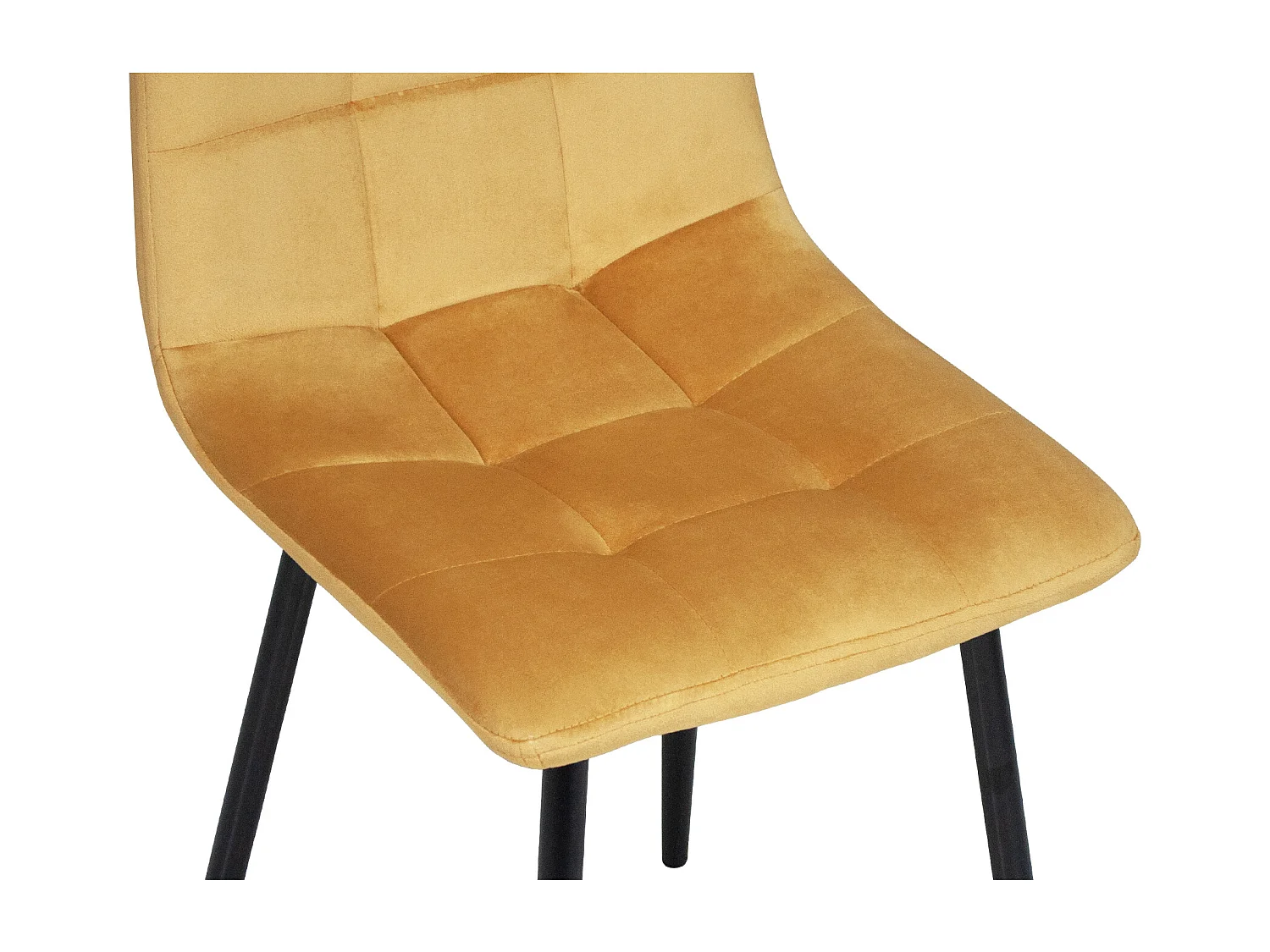 Sedia da pranzo imbottita in velluto giallo senape mod. Karima (2pz.)