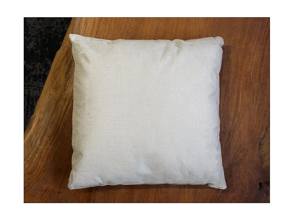 Lot 2 coussins carrés 40 cm en tissu beige imprimé - CERF