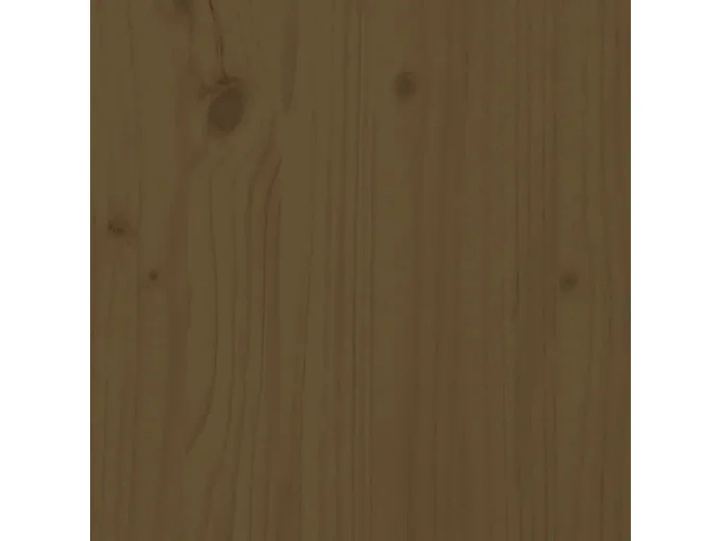 Bibliothèque-Séparateur de pièce Marron miel 60x30x135,5 Pin