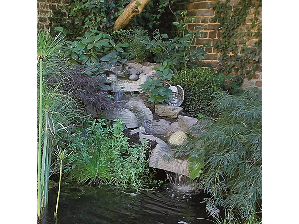 Startsegment voor vijverwaterval Colorado Cascade 1312071