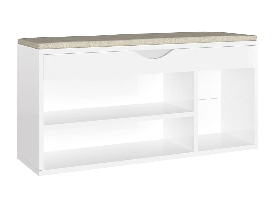 Banc à chaussures coussin Blanc brillant 104x30x49