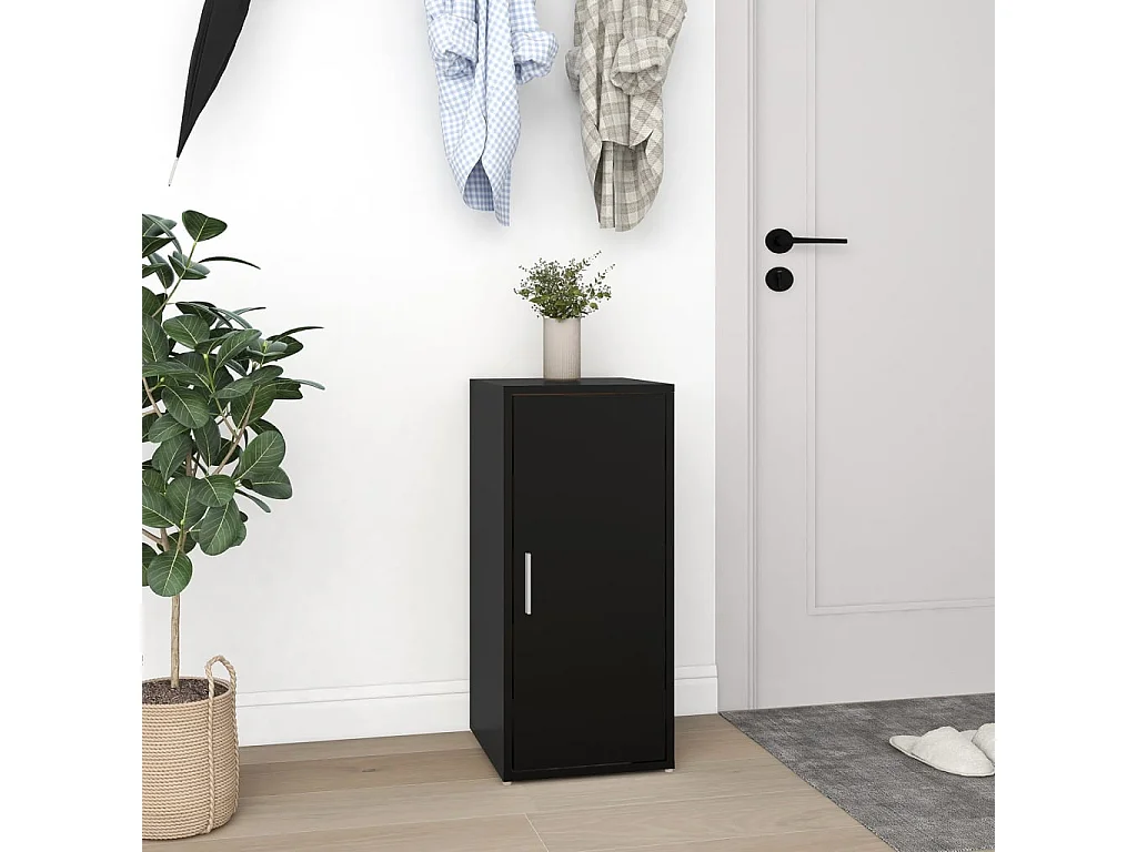 Armoire à chaussures Noir 32x35x70