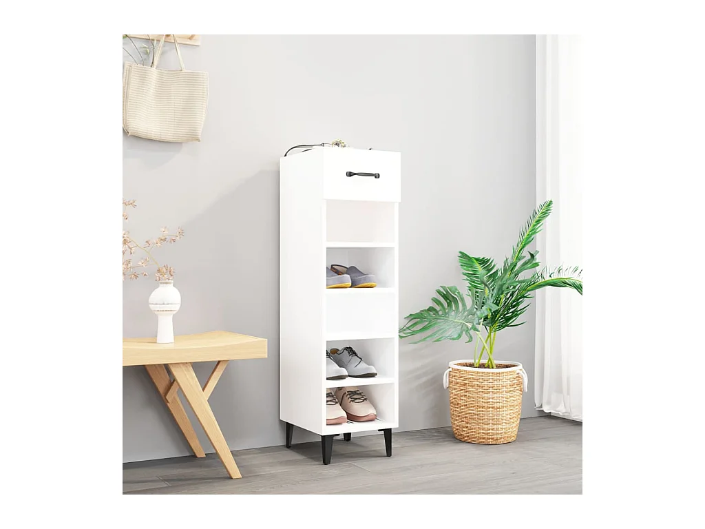 Armoire à chaussures Blanc 30x35x105 Bois d'ingénierie