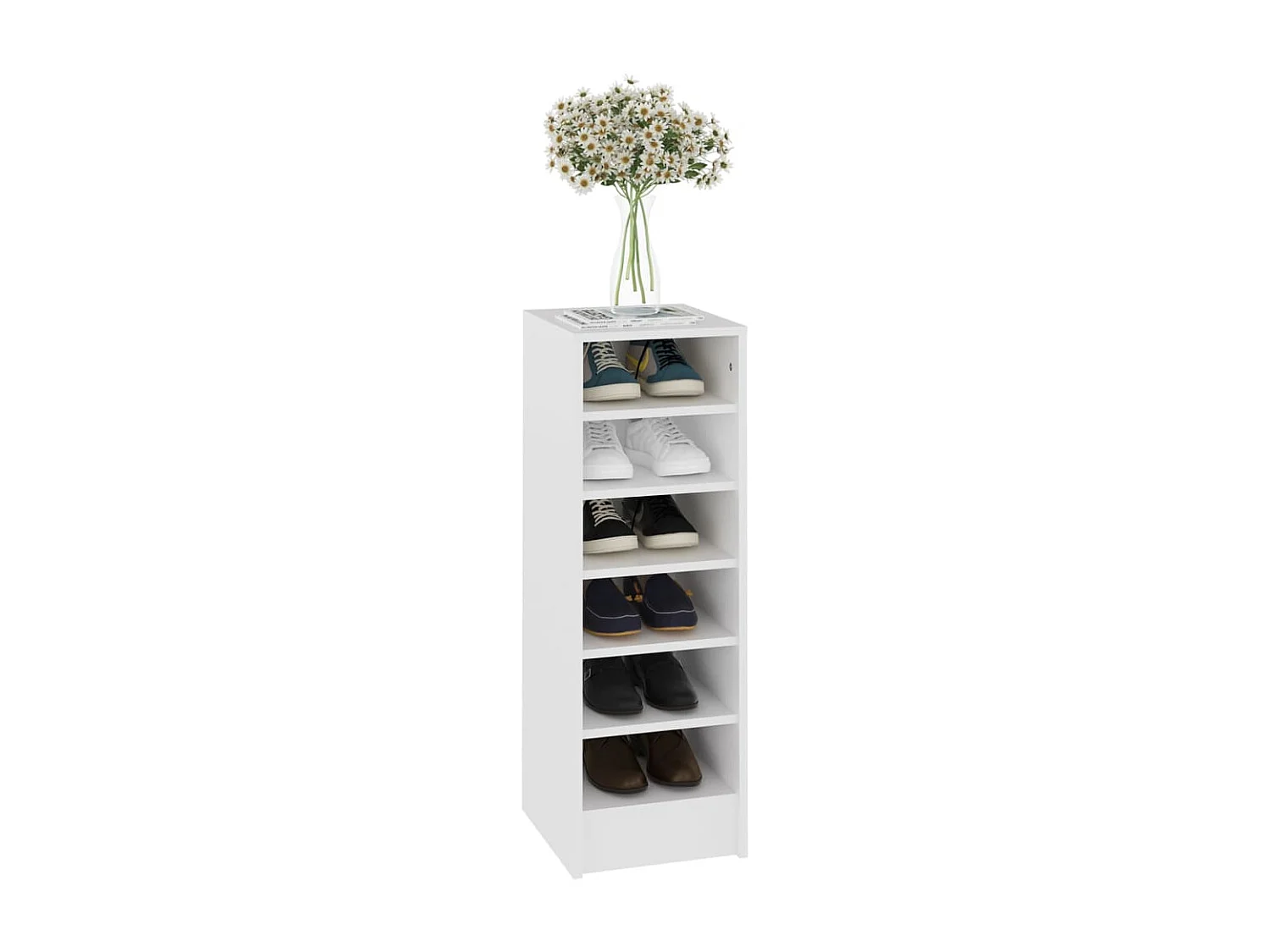 Armoire à chaussures Blanc 31,5x35x90
