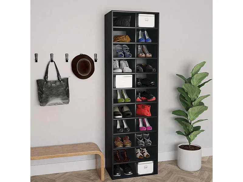 Armoire à chaussures Noir 54 x 34x183