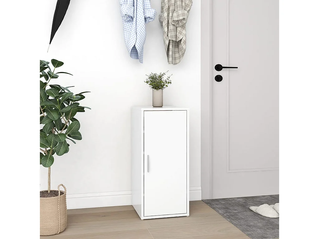 Armoire à chaussures Blanc 32x35x70