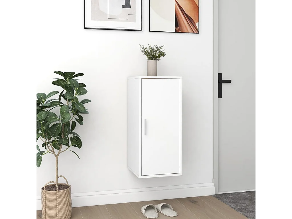 Armoire à chaussures Blanc 32x35x70