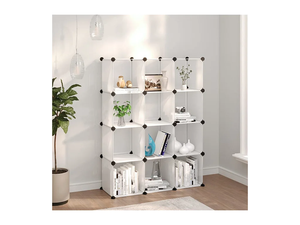 Cubes de rangement 12 pcs Transparent PP