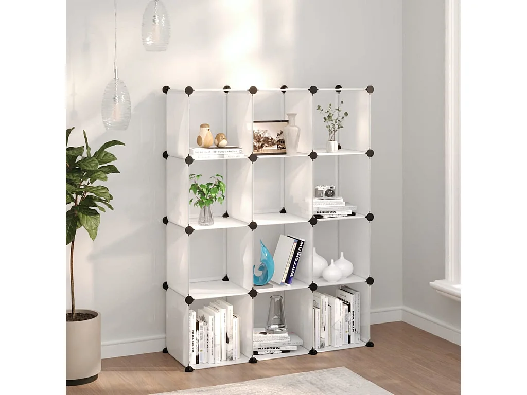 Cubes de rangement 12 pcs Transparent PP