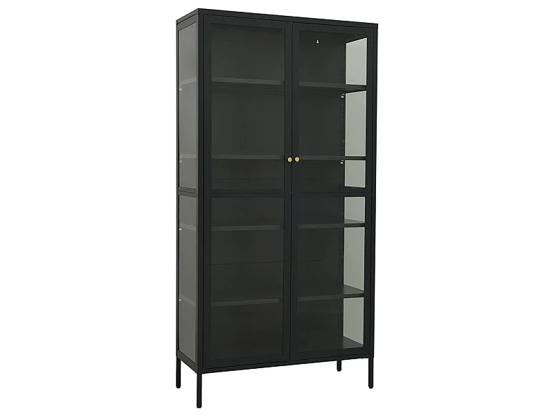 Vitrine d'exposition Anthracite 90x40x180 Acier-verre trempé