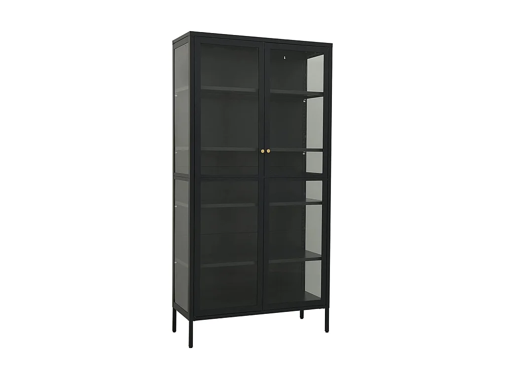 Vitrine d'exposition Anthracite 90x40x180 Acier-verre trempé