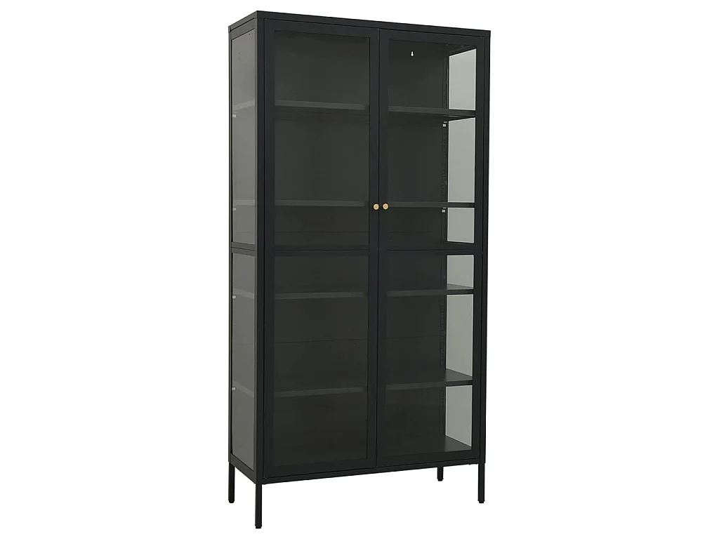 Vitrine d'exposition Anthracite 90x40x180 Acier-verre trempé