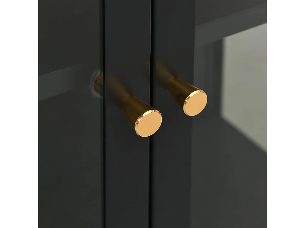 Vitrine d'exposition Anthracite 90x40x180 Acier-verre trempé